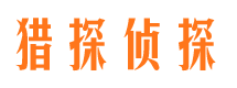 武都侦探